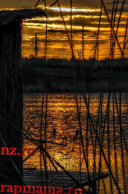 Cupa SBS (3) - 2013 - 1011563hdrmode21.JPG